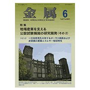金属 2017年 06月号 [雑誌]