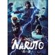 ライブ・スペクタクル NARUTO-ナルト- ～暁の調べ～ [DVD]