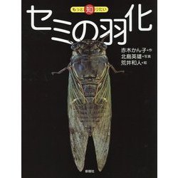 セミの羽化-どこがちがうか、わかる？（もっと知りたい） [全集叢書]