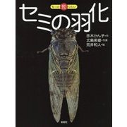セミの羽化-どこがちがうか、わかる？（もっと知りたい） [全集叢書]