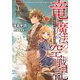 竜と魔法の空戦記-はぐれ魔導技師と穴あき紫電改（GC NOVELS） [単行本]