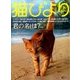 猫びより 2017年 07月号 [雑誌]