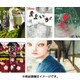 京極夏彦のえほん遠野物語(全4巻) [絵本]