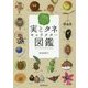 実とタネキャラクター図鑑―個性派植物たちの知恵と工夫がよくわかる [単行本]