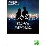 美しき幻影 [文庫]