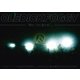 OLEDICKFOGGY／壁中、月光 眼を剥く [DVD]