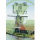 電力改革の争点―原発保護か脱原発か [単行本]