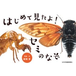 はじめて見たよ！セミのなぞ （少年写真絵本） [絵本]