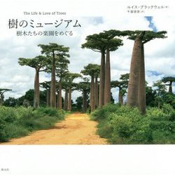 樹のミュージアム-樹木たちの楽園をめぐる [単行本]