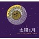 太陽と月-10人のアーティストによるインドの民族の物語 [絵本]