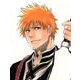 BLEACH―Can't Fear Your Own World〈1〉(JUMP j BOOKS) [単行本]