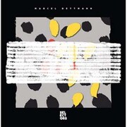 SELECTORS 003