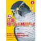 鷹の師匠、狩りのお時間です！ 2（星海社COMICS） [コミック]