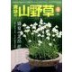 趣味の山野草 2017年 08月号 [雑誌]