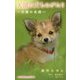 天国の犬ものがたり―天使の名前(小学館ジュニア文庫) [新書]