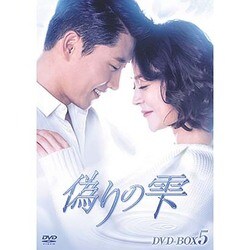 偽りの雫 DVD-BOX Ⅴ [DVD]