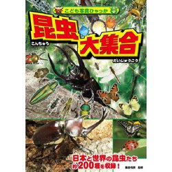 昆虫大集合（こども写真ひゃっか） [絵本]
