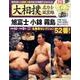 大相撲名力士風雲録 vol.19 [ムック・その他]
