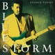 柳ジョージ／BLUESTORM
