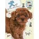 犬がおうちにやってきた!―動物の飼い方がわかるまんが図鑑(学研の図鑑LIVE) [図鑑]