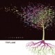 TRIPLANE／1/4802のすべて