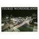 TSUKIJI WONDERLAND [単行本]