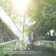 馬場俊英／街路樹
