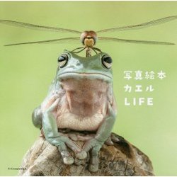 写真絵本 カエルLIFE [単行本]