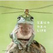 写真絵本 カエルLIFE [単行本]