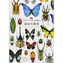 世界でいちばん素敵な昆虫の教室 [単行本]