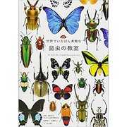 世界でいちばん素敵な昆虫の教室 [単行本]