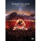 デヴィッド・ギルモア／ライヴ・アット・ポンペイ [DVD]