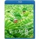 菊次郎の夏 [Blu-ray Disc]