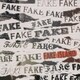 FAKE ISLAND／FAKE ISLAND