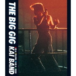甲斐バンド／THE BIG GIG [Blu-ray Disc]
