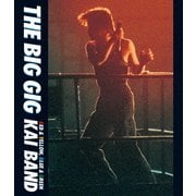 THE BIG GIG