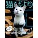 猫びより 2017年 09月号 [雑誌]
