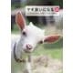 ヤギ飼いになる New edition!―ミルクがとれて除草にも活躍。ヤギの飼い方最前線! [全集叢書]