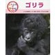 ゴリラ(くらべてみよう!どうぶつの赤ちゃん〈11〉) [単行本]