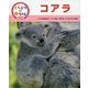 コアラ(くらべてみよう!どうぶつの赤ちゃん〈12〉) [単行本]