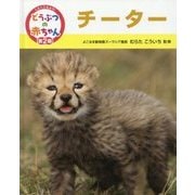 チーター(くらべてみよう!どうぶつの赤ちゃん〈15〉) [単行本]