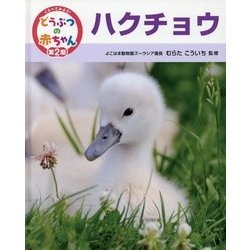 ハクチョウ(くらべてみよう!どうぶつの赤ちゃん〈20〉) [単行本]