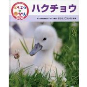 ハクチョウ(くらべてみよう!どうぶつの赤ちゃん〈20〉) [単行本]