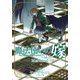 魔法使いの嫁公式原作ガイドブックMerkmal（BLADE COMICS） [コミック]