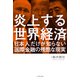 炎上する世界経済―日本人だけが知らない国際金融の残酷な現実 [単行本]