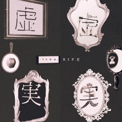 nano.RIPE／虚虚実実