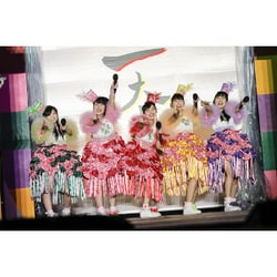 ももいろクローバーZ／ももクロ春の一大事2017 in 富士見市 LIVE DVD [DVD]