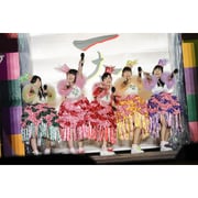 ももクロ春の一大事2017 in 富士見市 LIVE DVD