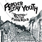 Revenge of the Punk Rock