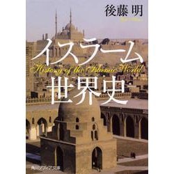 イスラーム世界史(角川ソフィア文庫) [文庫]
